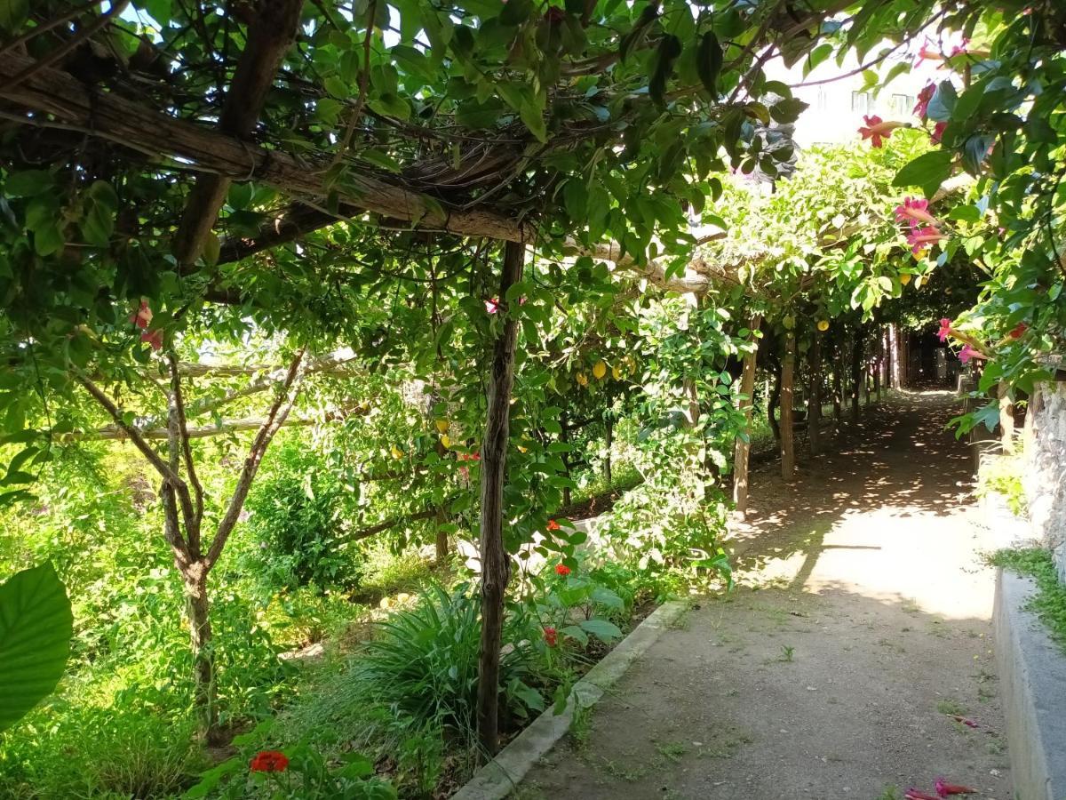 Casa Emi Apartment Amalfi Bagian luar foto